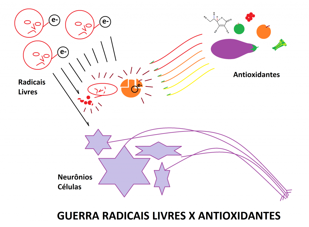 Antioxidantes bloqueando os ataques dos Radicais Livres contra neurônios e células normais. 