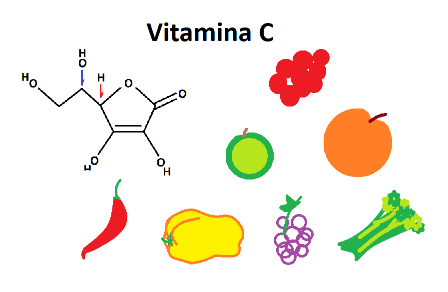 Molécula de Vitamina C e Vegetais: acerola, pimentão, pimenta, brócolis, laranja, limão, uva