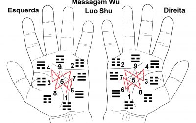 MASSAGEM DOS TRIGRAMAS – LUO SHU do Mestre Wu